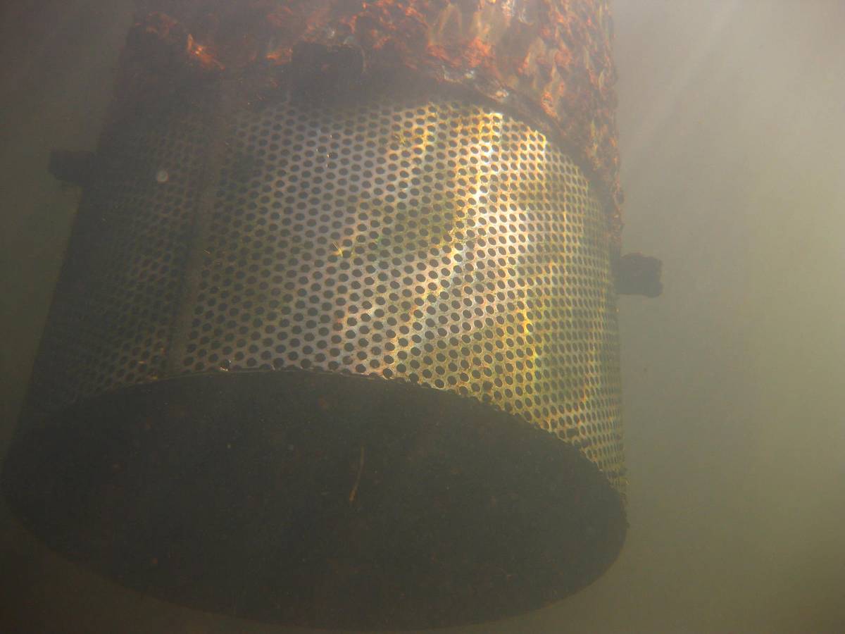 Cylindrical intake screen inside a reservoir being cleaned by divers