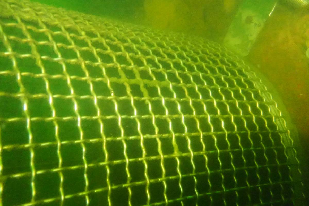 Close-up of a cleaned outlet screen mesh underwater